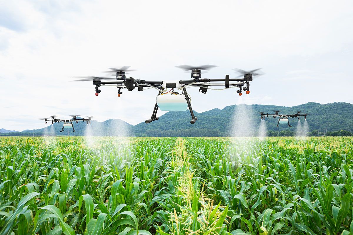 Drone Services & Aerial Solutions